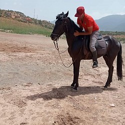 Un accompagnateur